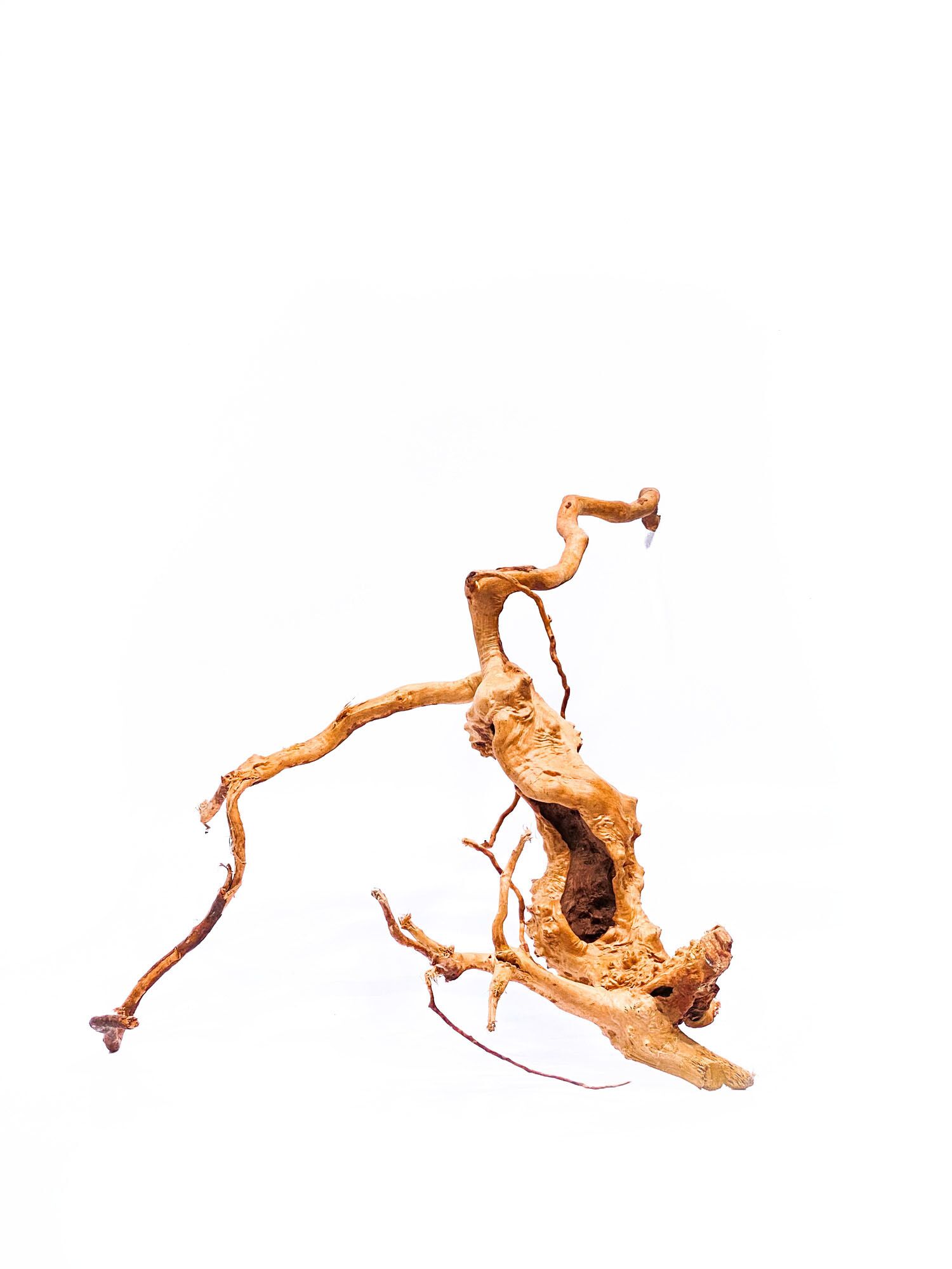 Aquarium / terrarium wood - Red moor - Big - Image 1