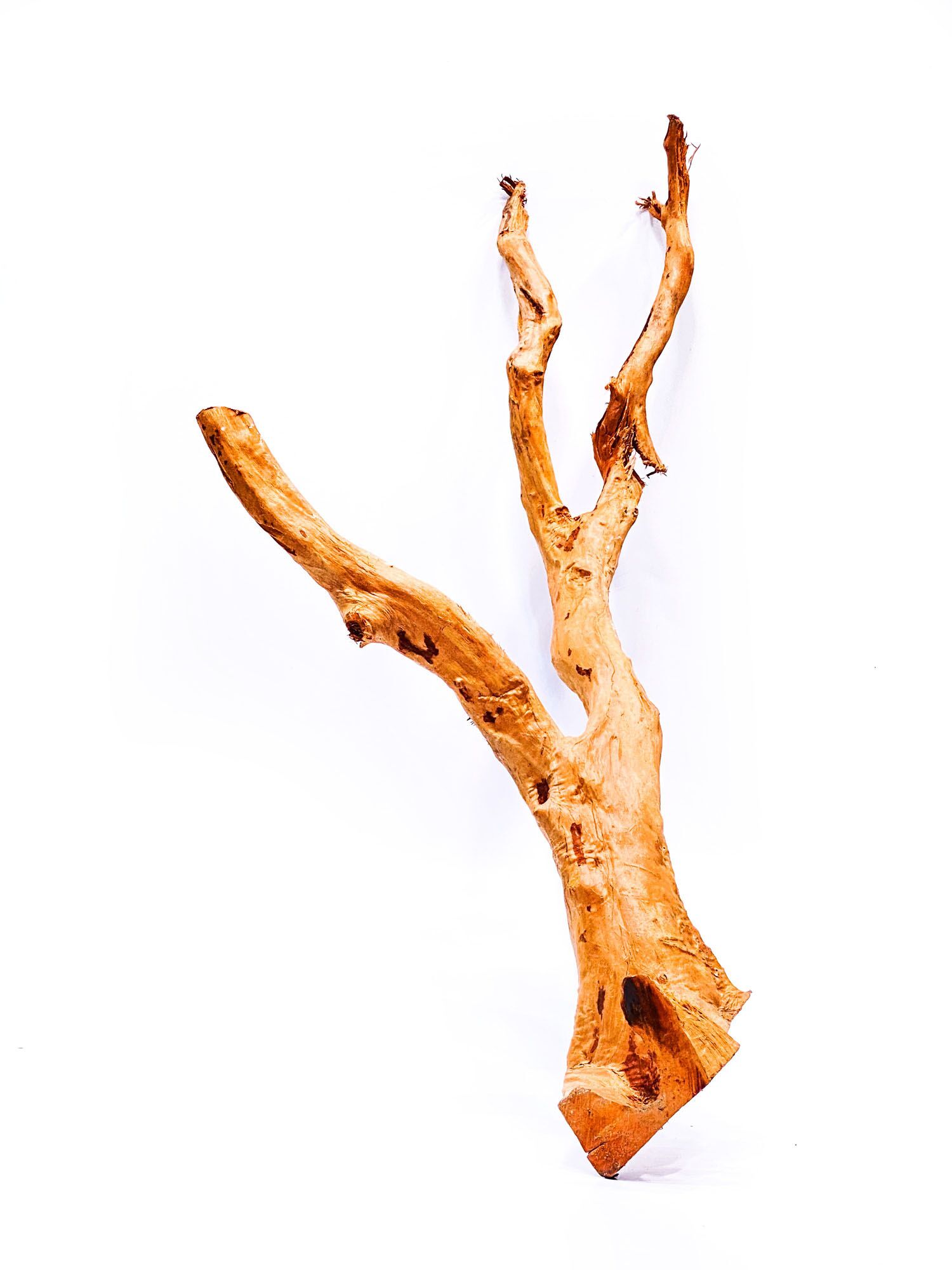 Aquarium / terrarium wood - Red moor - Big - Image 1