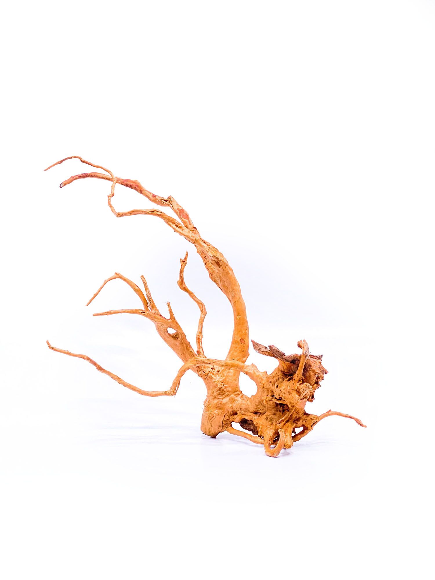 Aquarium / terrarium wood - Red moor - Medium - Image 1