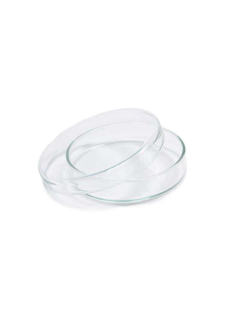 Glass Petri dish 60 x 12 mm - Image 1