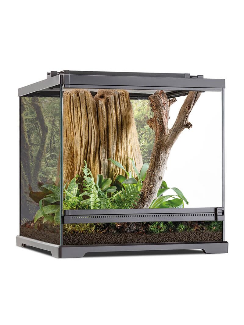 Exo-Terra-frog-terrarium-orangefrog Exo Terra frog terrarium
