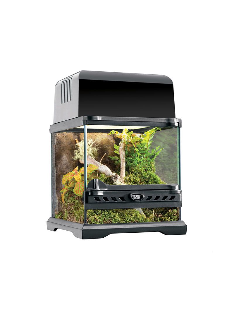 Terrarium-Exo-Terra-Nano-1-orangefrog Terrarium Exo Terra Natural Nano 1 OrangeFrog