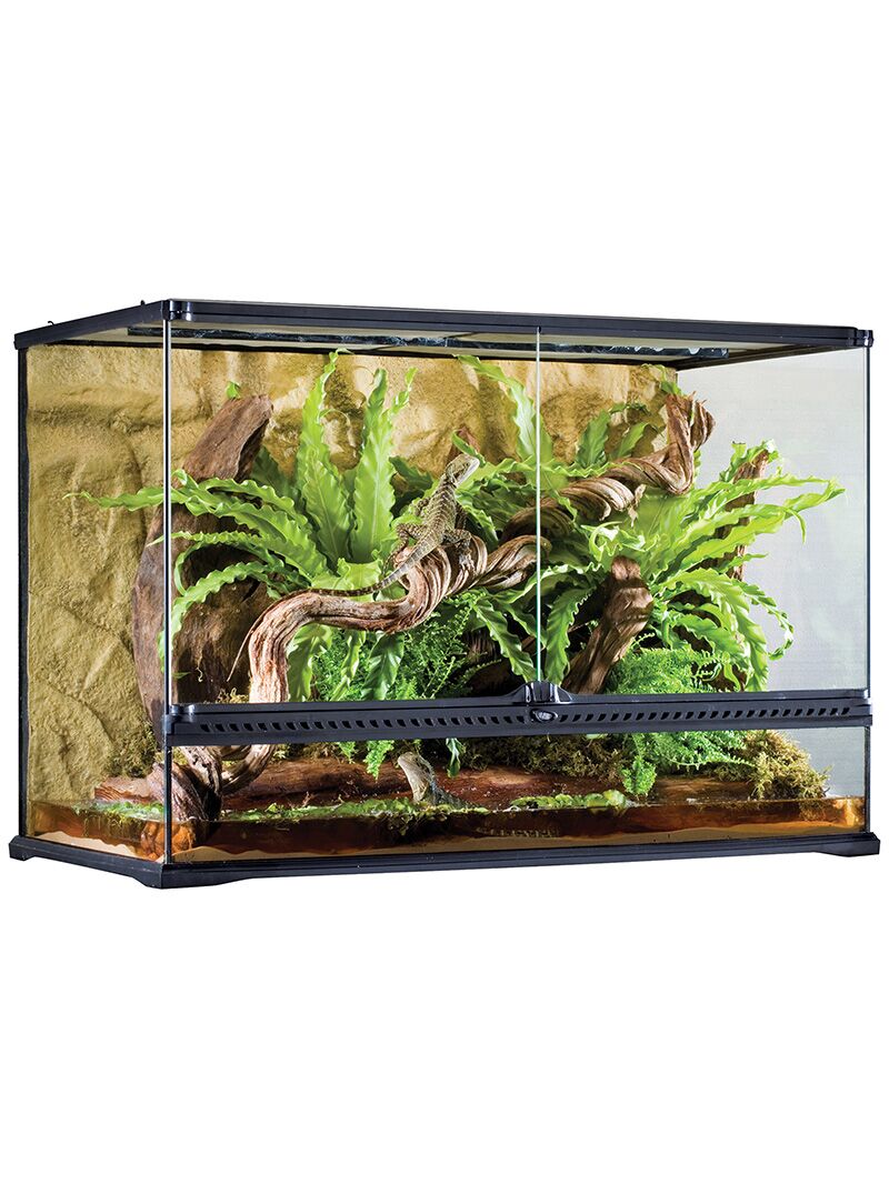 Exo Terra Natural terraario - LARGE - Image 1
