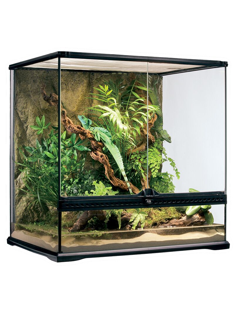 Terárium Exo Terra Natural - MEDIUM - Obrázek 1