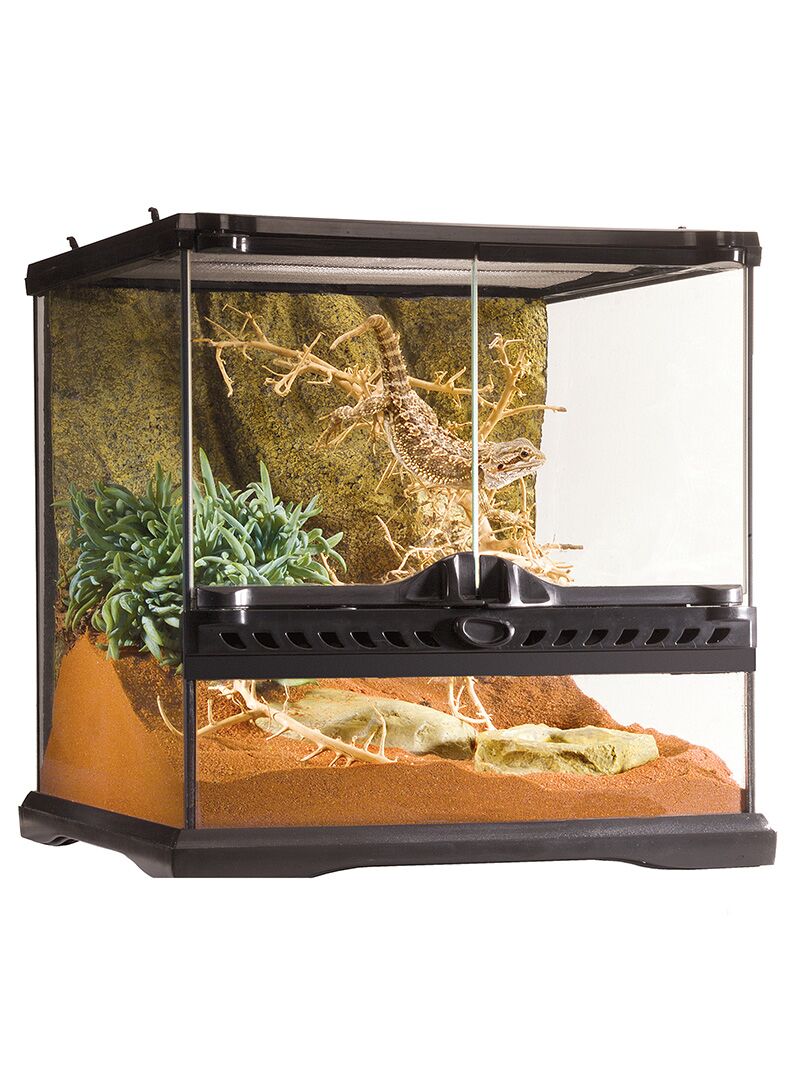 Terrarium-Exo-Terra-Natural-Mini-Wide-orangefrog Exo Terra Natural terraario - MINI - Image 1