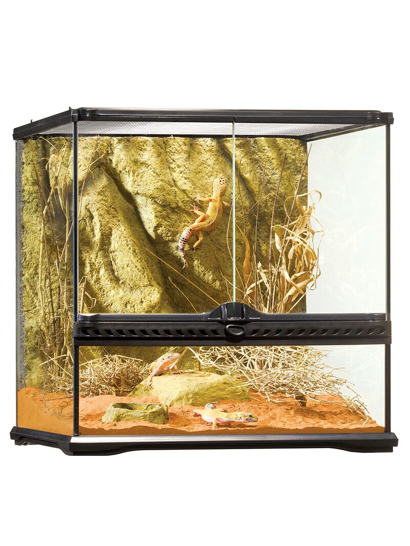 Terrarium Exo Terra Natural - SMALL - Image 1