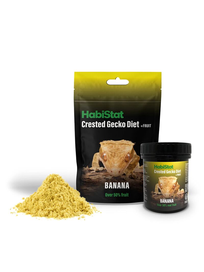 Habistat-Crested-gecko-diet-banana-4-orangefrog Habistat Crested Gecko Diet Banana