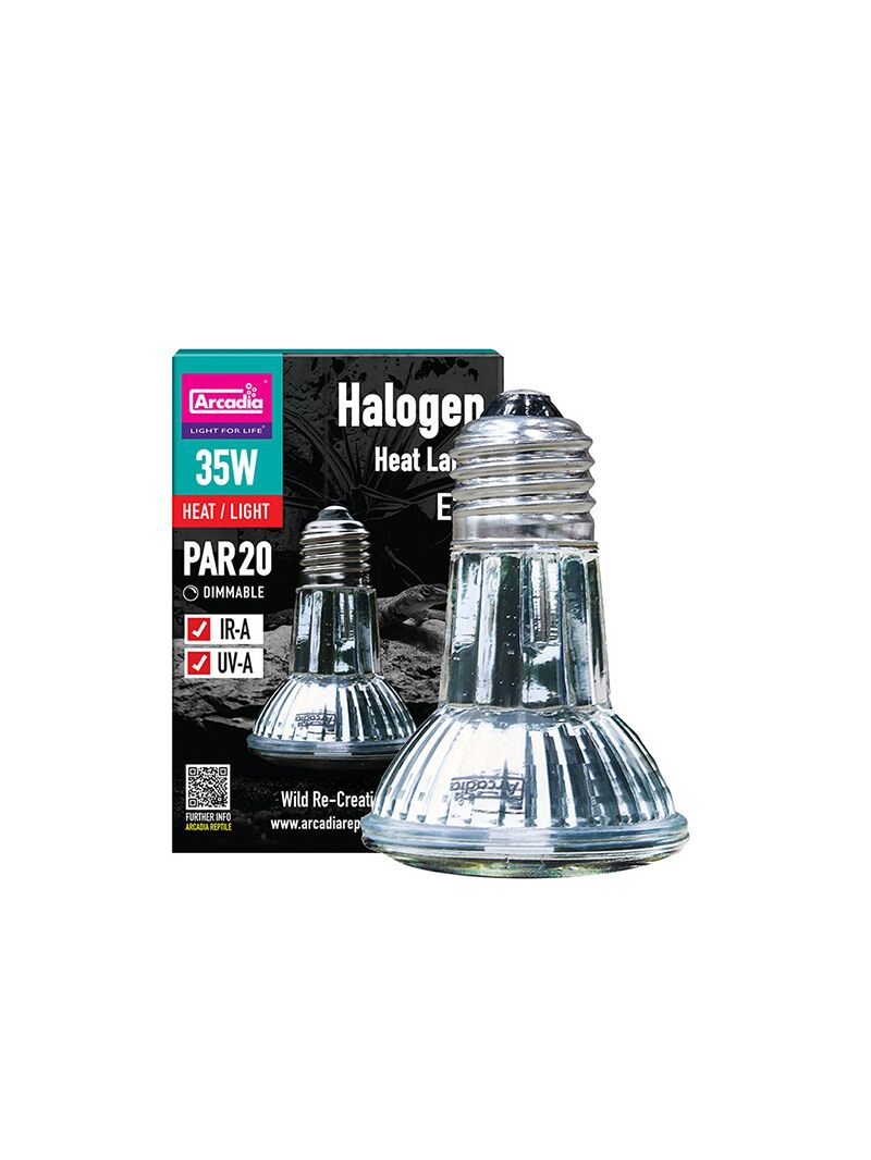 Arcadia-Reptile-Halogen-Heat-Lamp-35-orangefrog Arcadia Reptile Halogen Heat Lamp