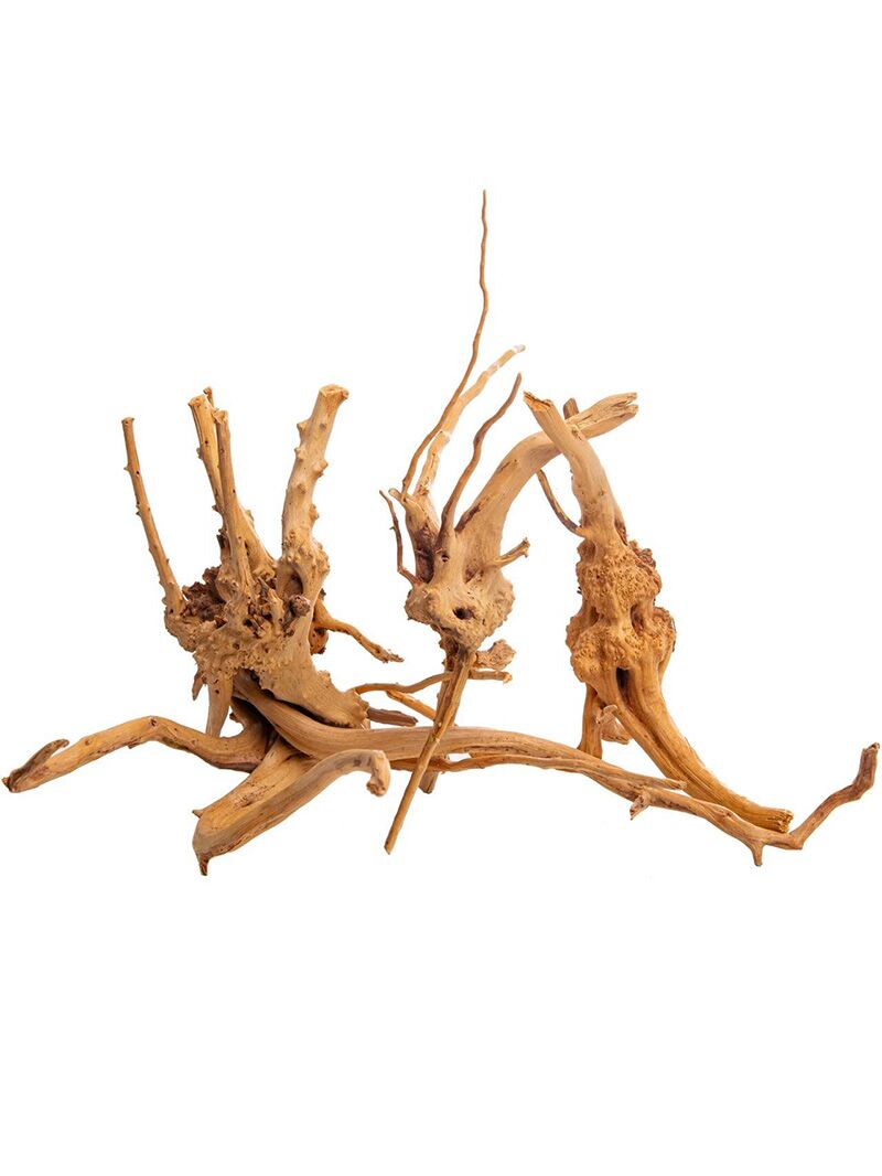 korzen-do-terrarium-akwarium-Cradle-Wood-5-orangefrog Korzeń do terrarium / akwarium Cradle Wood - 10-30 cm - 1 kg