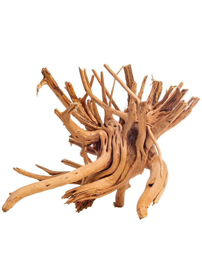 korzen-do-terrarium-akwarium-Cradle-Wood-9-orangefrog Korzeń do terrarium / akwarium Cradle Wood - 40-50 cm - 1 kg