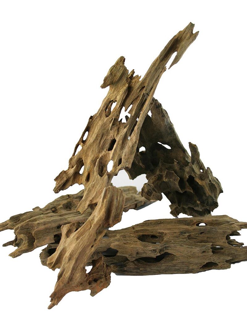 Korzeń do terrarium / akwarium – Dragon Wood - 1 kg