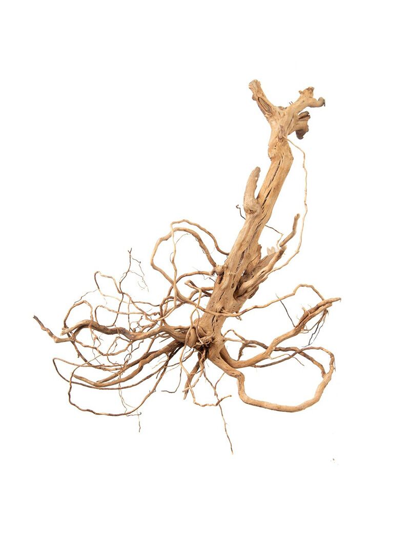 Korzeń do terrarium / akwarium – Moss Tree