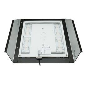 LED lamps – OrangeFrog.store